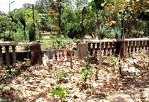 یونیورسٹی کی تاریخی اہمیت کی حامل باؤنڈری وال بدحال کا شکارم، ذمہ دار کون۔۔۔؟